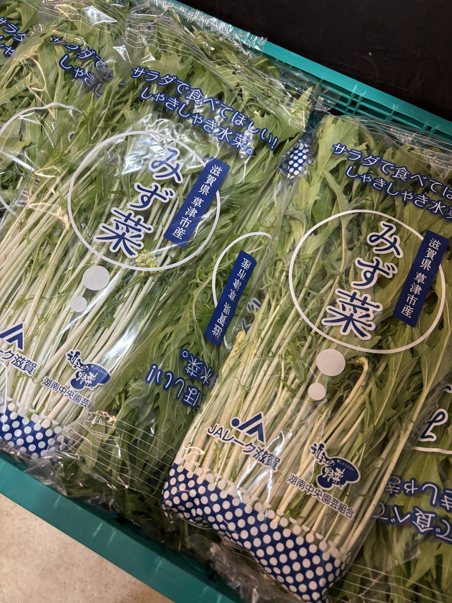 nishikisyouten's tweet photo. 滋賀県産水菜1p30円です。
とう立ちが始まってしまった為大量に行き先を失った水菜があります。
少し掃除すれば全く問題なく食べられます。よろしければレスキューお願いします。

一時フードロス削減についてなんかしたいという声を沢山頂きましたが最近すっかり聞かなくなりましたね。やっぱり流行りやった��かなぁ。