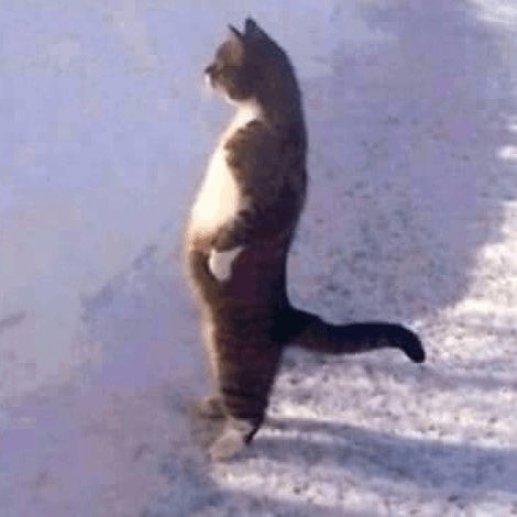 alex ✰ tweet media