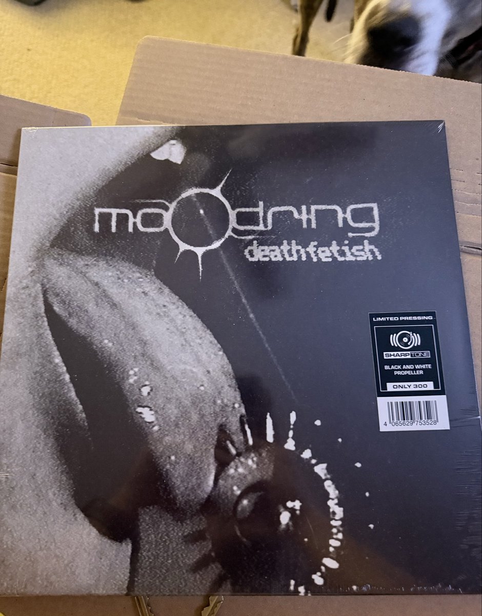 Lord Froog 🐸 tweet media