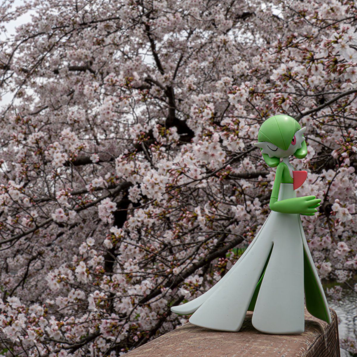 たびねこロック tweet media