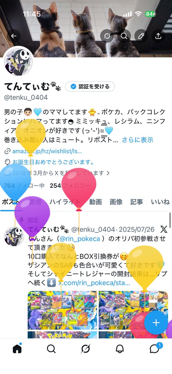 てんてぃむ🐾 tweet media