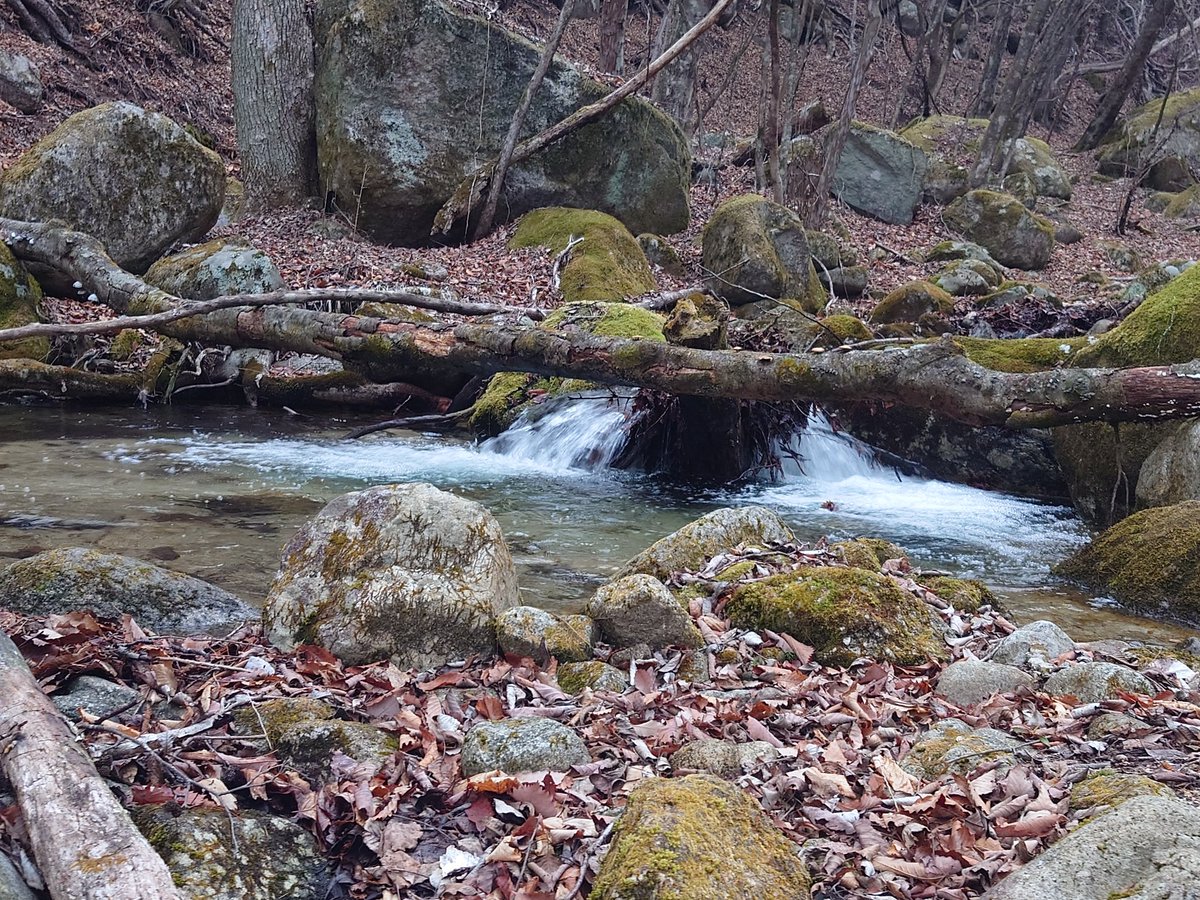 るてしよ tweet media