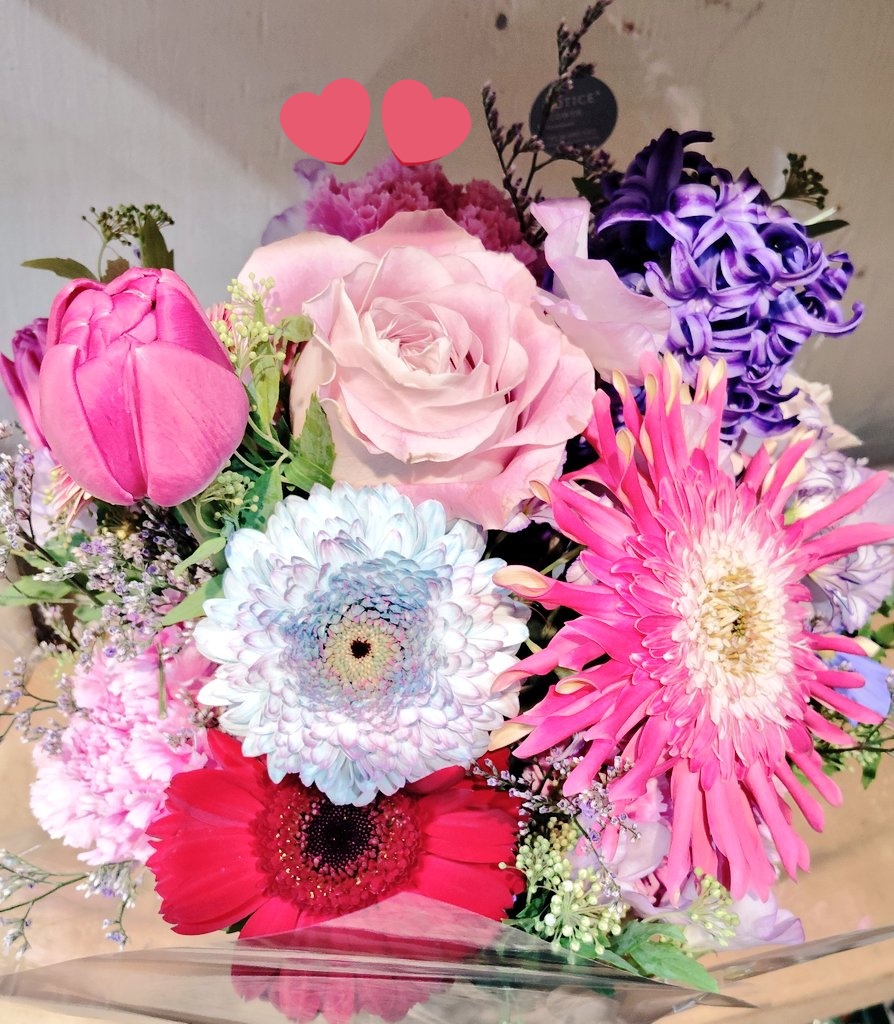 姫の知恵をかりたいゆうや🐉 tweet media