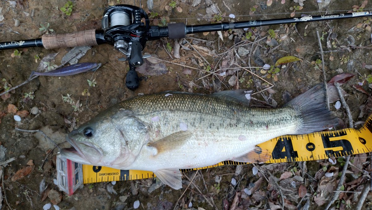 こしあん tweet media