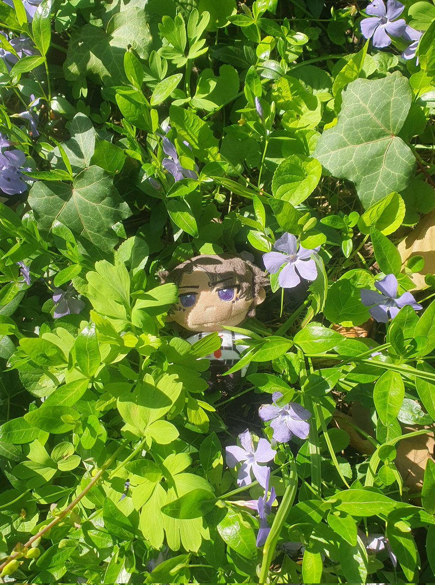 Moxy 🐦‍⬛ erlkingfan9000 tweet media