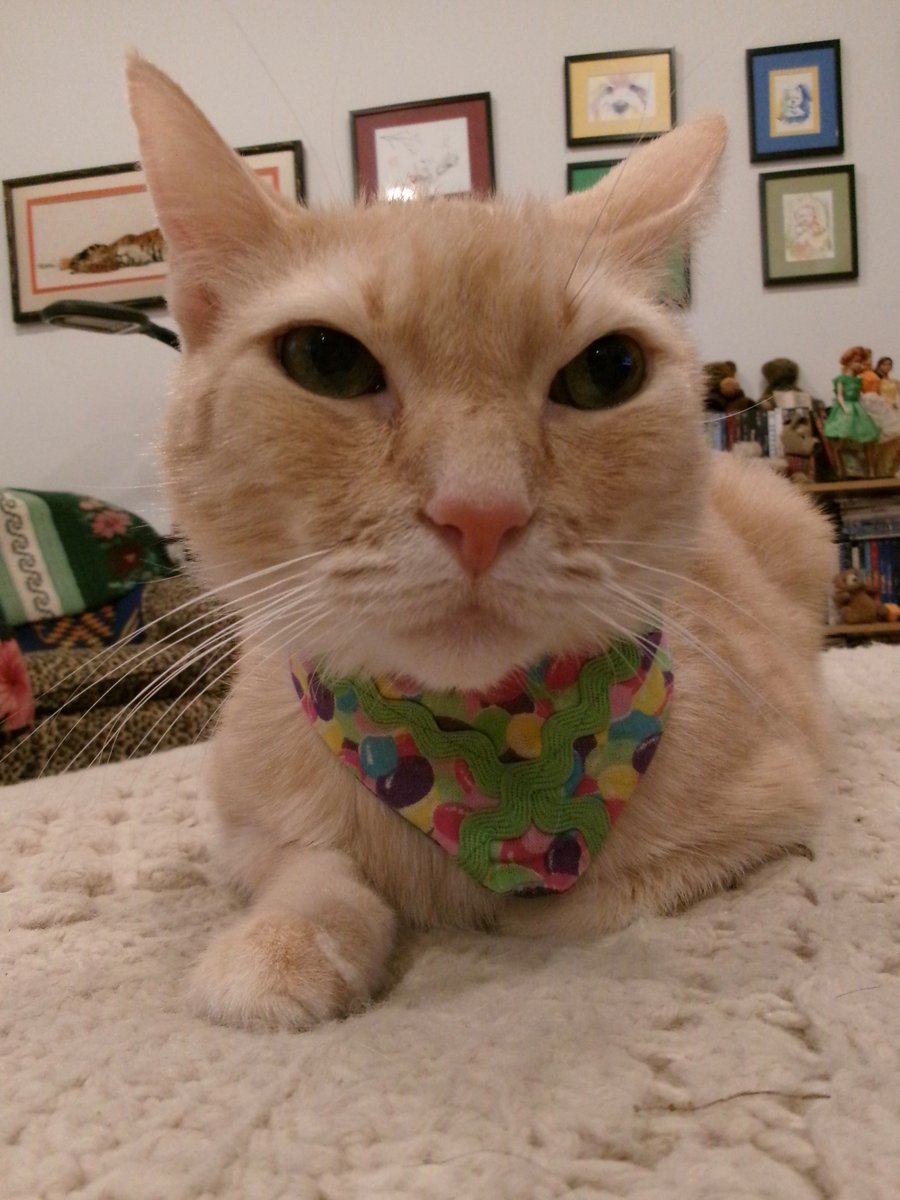 TravisTabbyCat's tweet image. #goodfriday? lonestarcats.blogspot.com/2026/04/good-f…