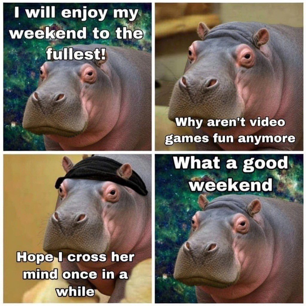 Fan Page | Moo Deng Army ⟠ tweet media