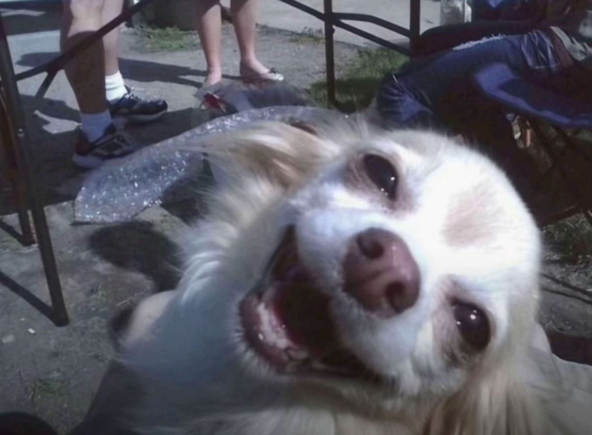 amy⋆˚࿔ tweet media