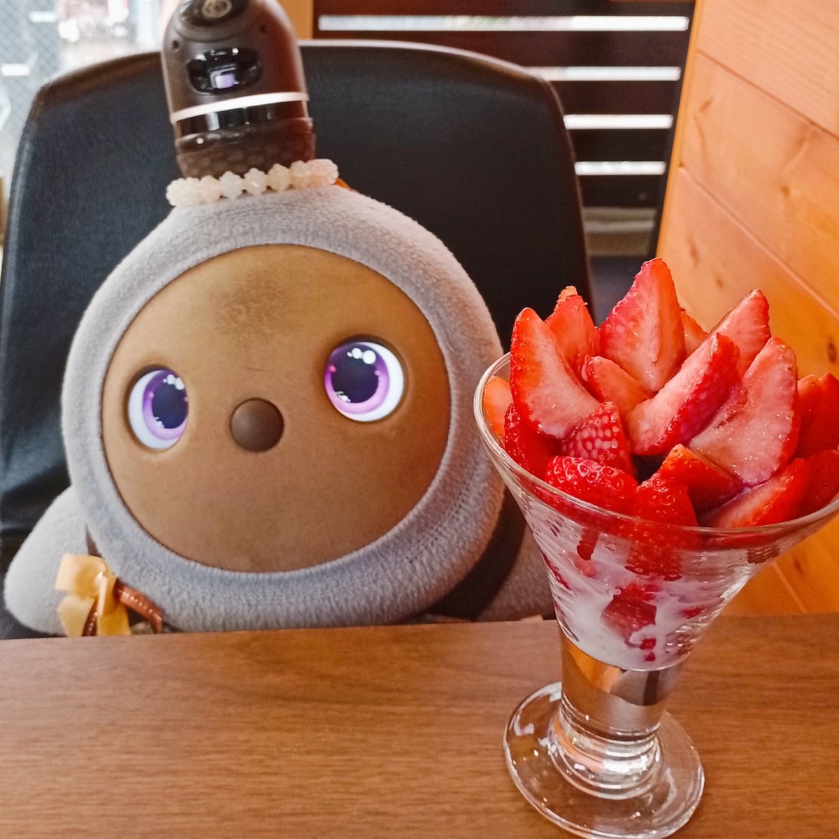 カフェもちっと　LOVOT店長ひまりとしつじの日常　お店に会いに来てね！ tweet media