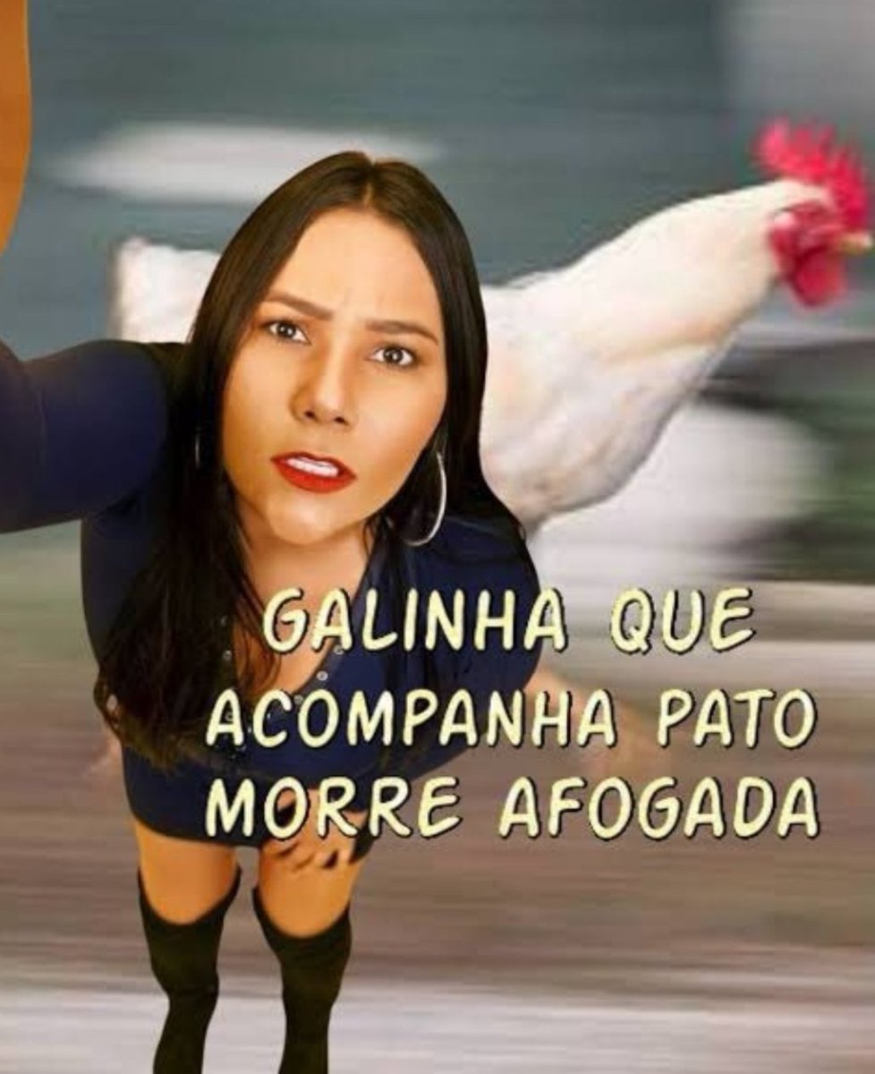 Big Vício 🥂🧙‍♀️ tweet media