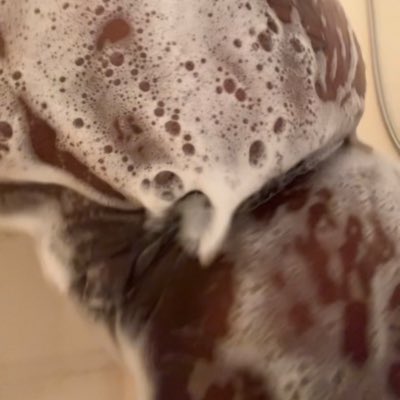 Jack of All Trades‼️ tweet media