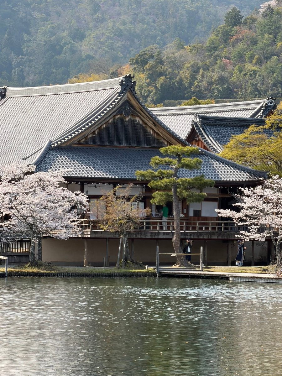 ペロ亜種 tweet media