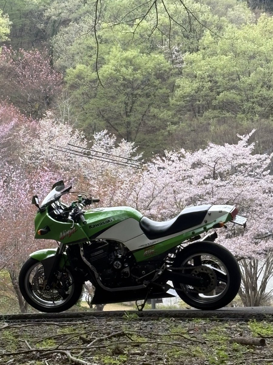Ninja1480's tweet photo. 今年の桜🌸 https://t.co/f1IKEuxwdZ