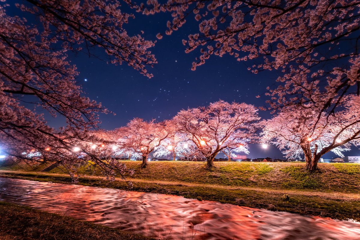 Hiroyuki/Hirano 平野 博之 tweet media