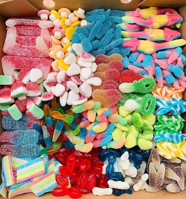 ella ENHYPEN IS 7! tweet media