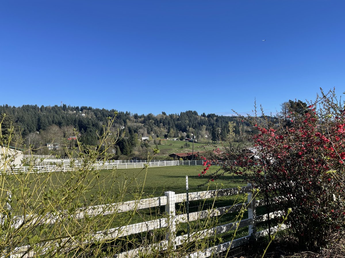 Dave Peasant, Aspiring Lorax tweet media