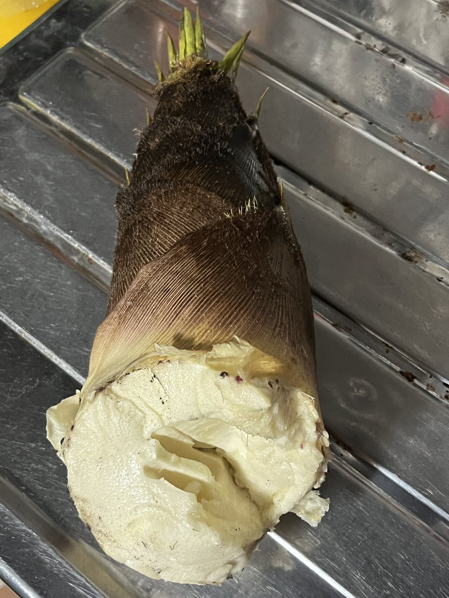 筆上一啓（ふでがみかつひろ） tweet media