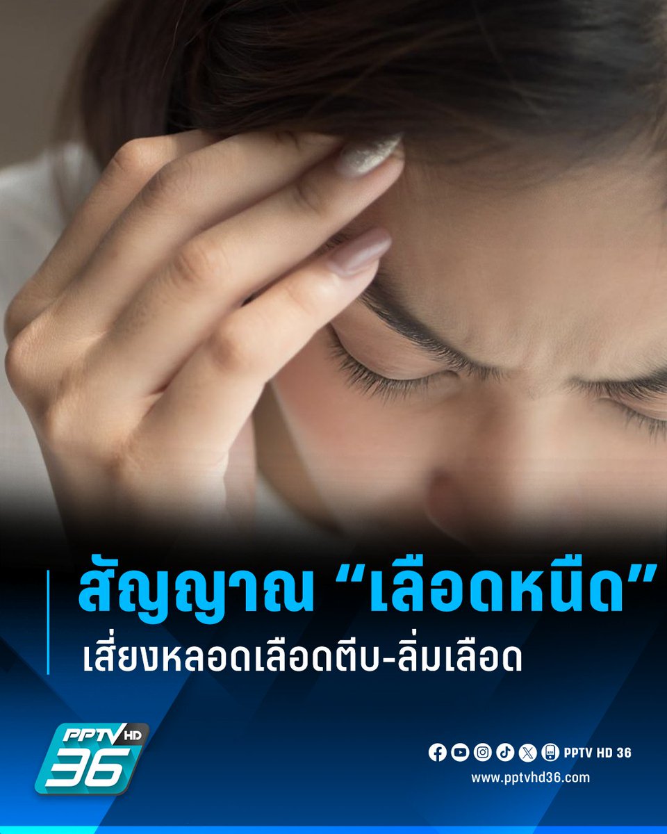 PPTV HD 36 tweet media