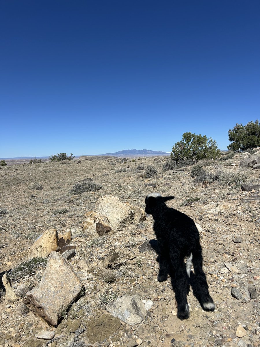 Chris Clements tweet media