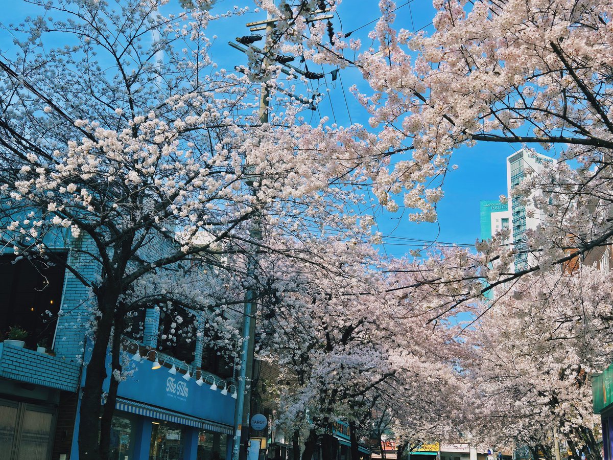 퍄닥이🐥 tweet media