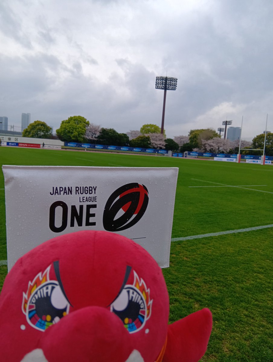 日野レッドドルフィンズ【公式】 tweet media