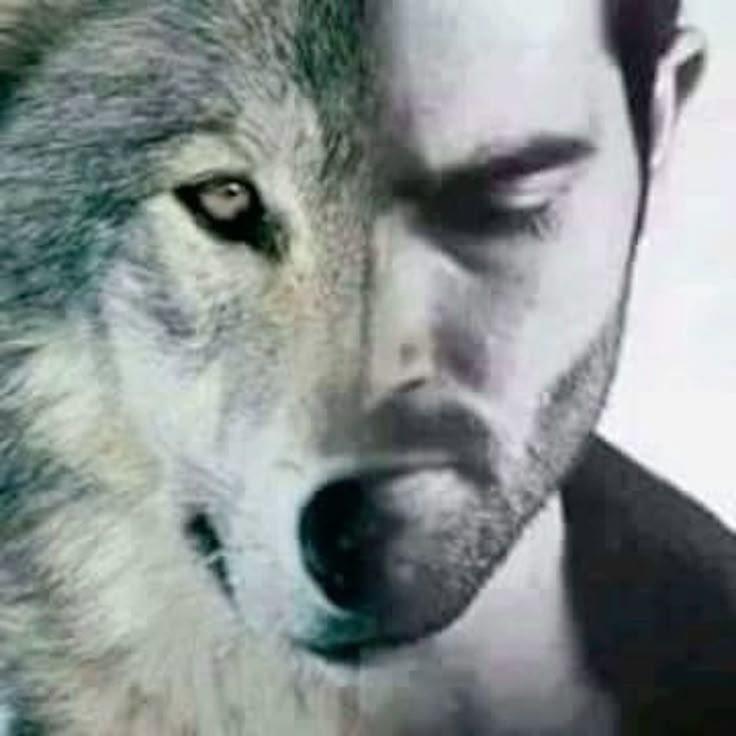 𝘙𝘰𝘺.ᐟ (𝘿𝙖𝙣𝙣'𝙨 𝙑𝙚𝙧𝙨𝙞𝙤𝙣) tweet media