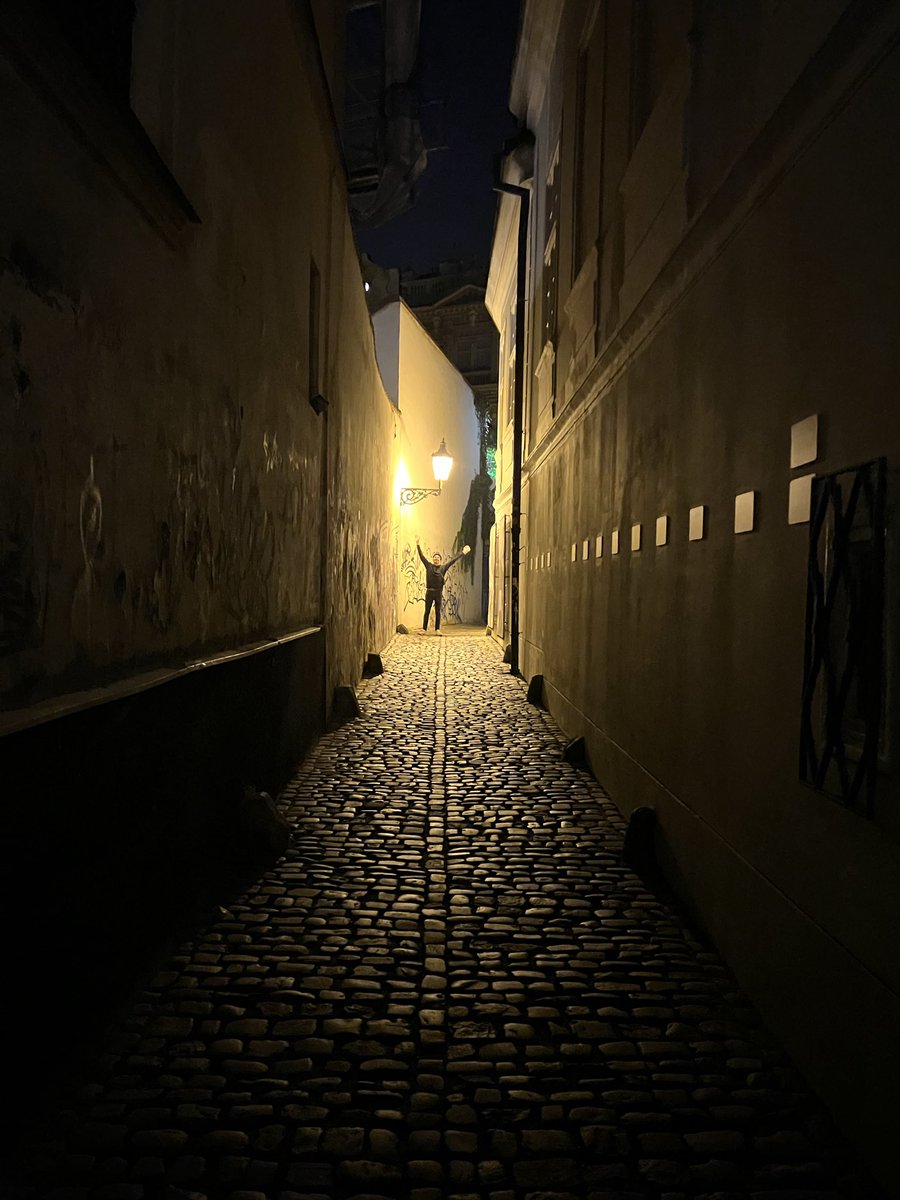 joey 🦘 tweet media