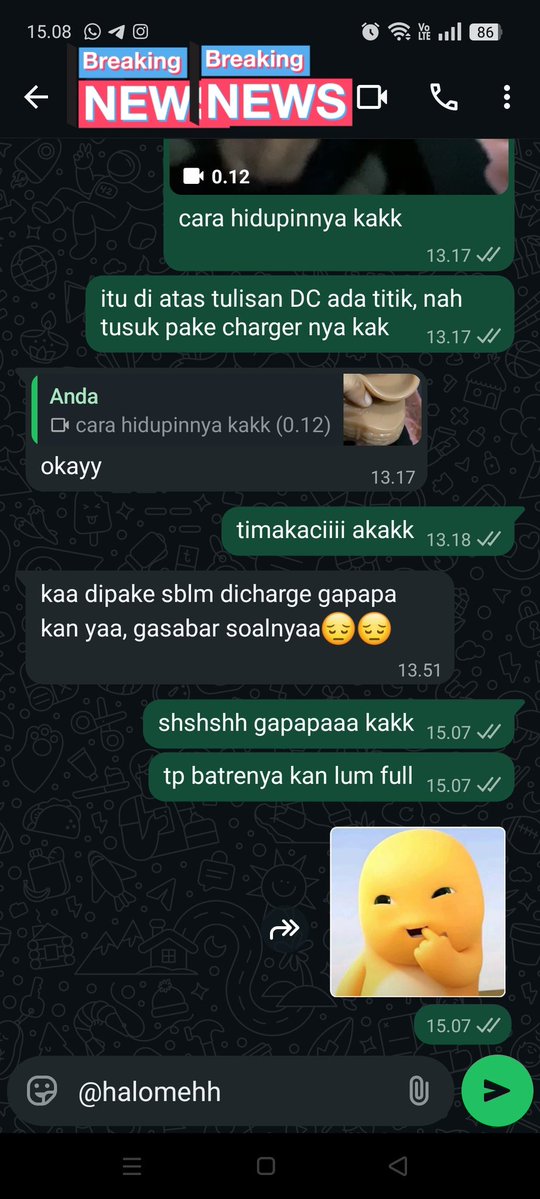 kang dildo&vibrator👻 tweet media