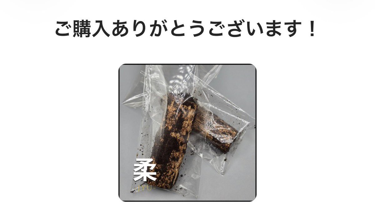 ぼくのたからばこ@クワガタから愛と命と経営を学ぶ6歳 tweet media