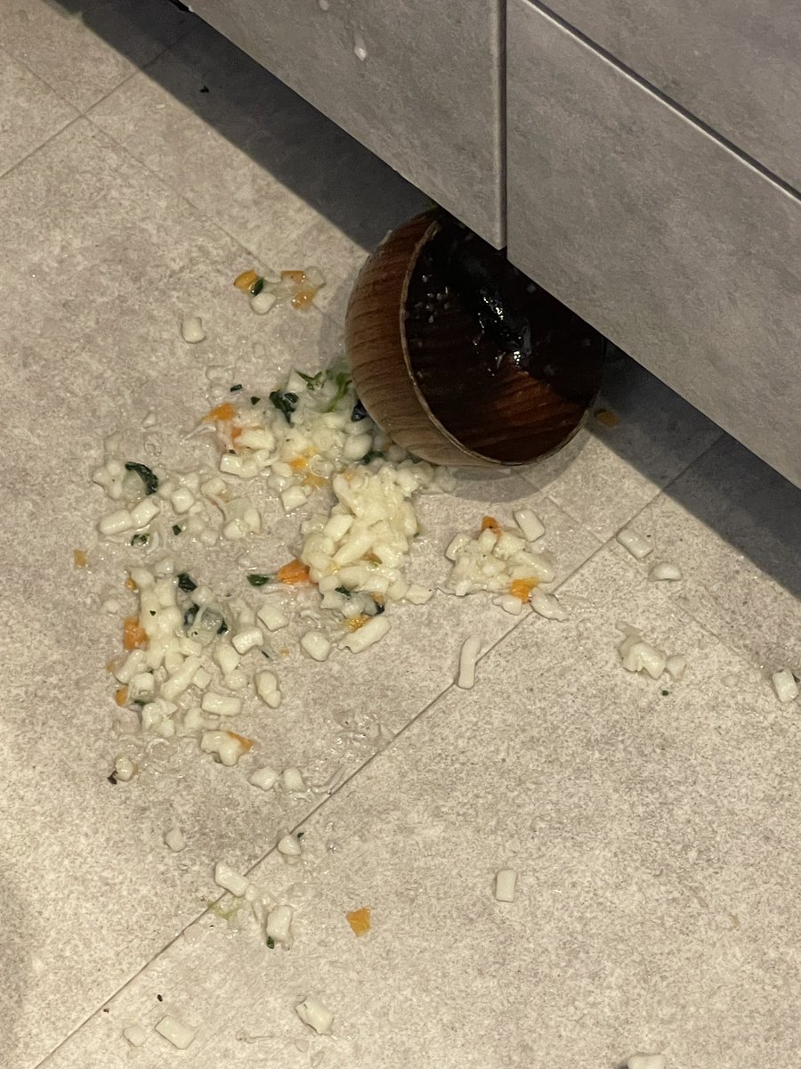 ぴっちょりーな☆PICCIOLINA tweet media