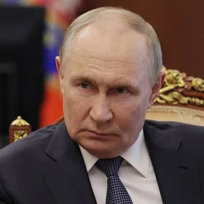 PBW🐦⬛ tweet media