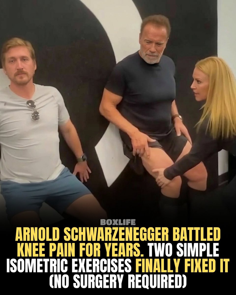 BoxLife Magazine tweet media