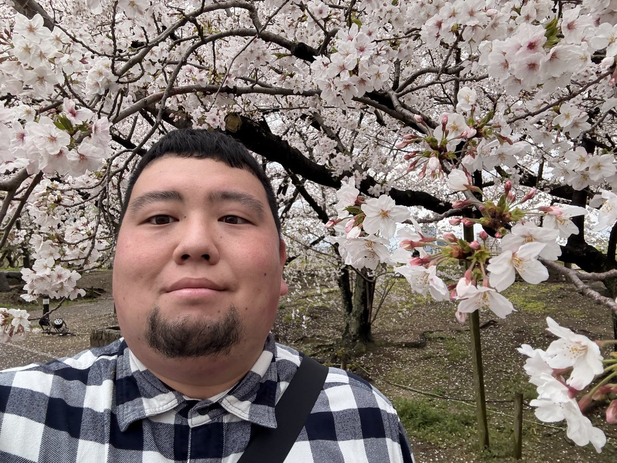 MOCHI@Tシャツ屋さん tweet media