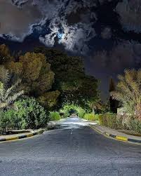 LaraLar51476's tweet photo. أرقُ الليل ليس سهرًا… بل سقوطٌ بطيء في فراغٍ لا قاع له.
في الغربة، لا شيء يربّت على كتفك، ولا صوت يشبهك… حتى قلبك يبدو غريبًا عنك.

الوحدة هنا ليست شعورًا… بل حياة كاملة تُعاش بلا روح. 🌙💔
#أرق_الليل #غربة #وحدة #حنين #قلب_متعب #صمت #مشاعر #خذلان #اشتياق #ضياع https://t.co/MKTQzoo4bL
