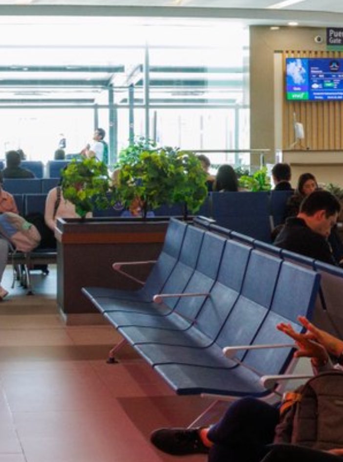 MEXICAN BEHAVIOR tweet media