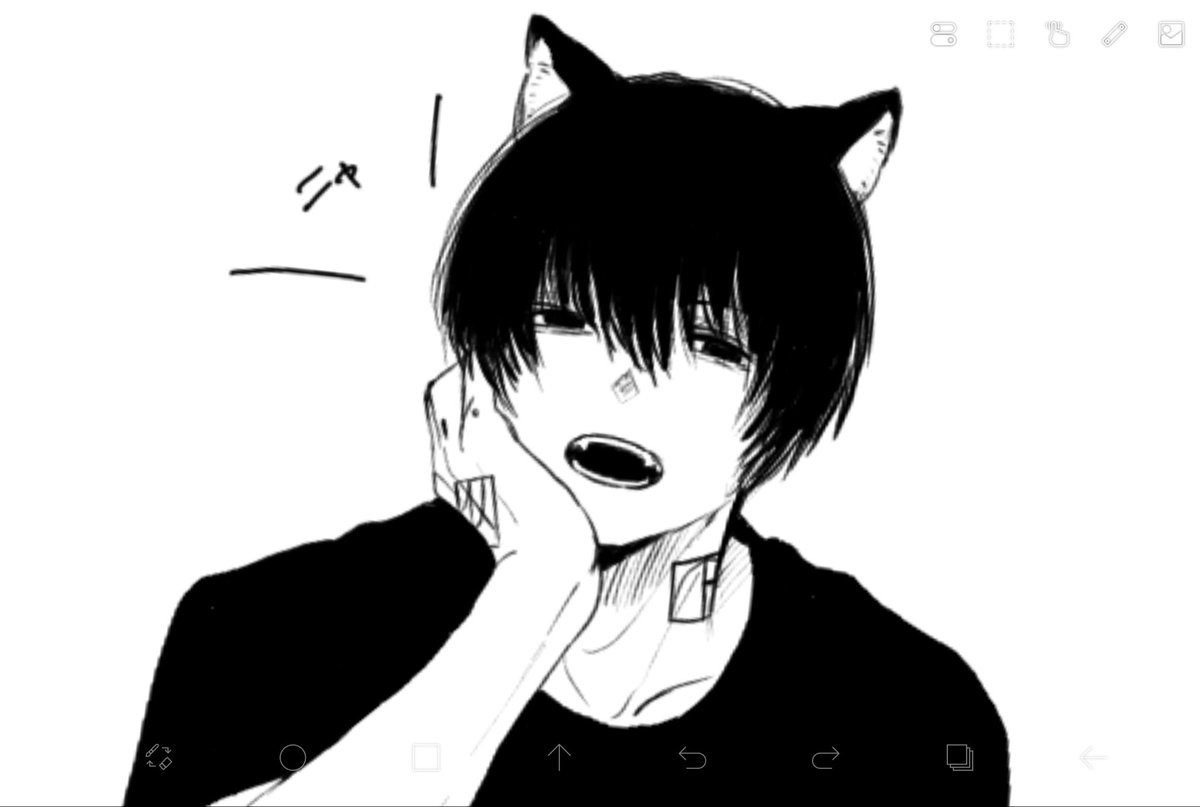 il79m's tweet photo. ngm/🐈‍⬛ https://t.co/f2v3CjmCUE