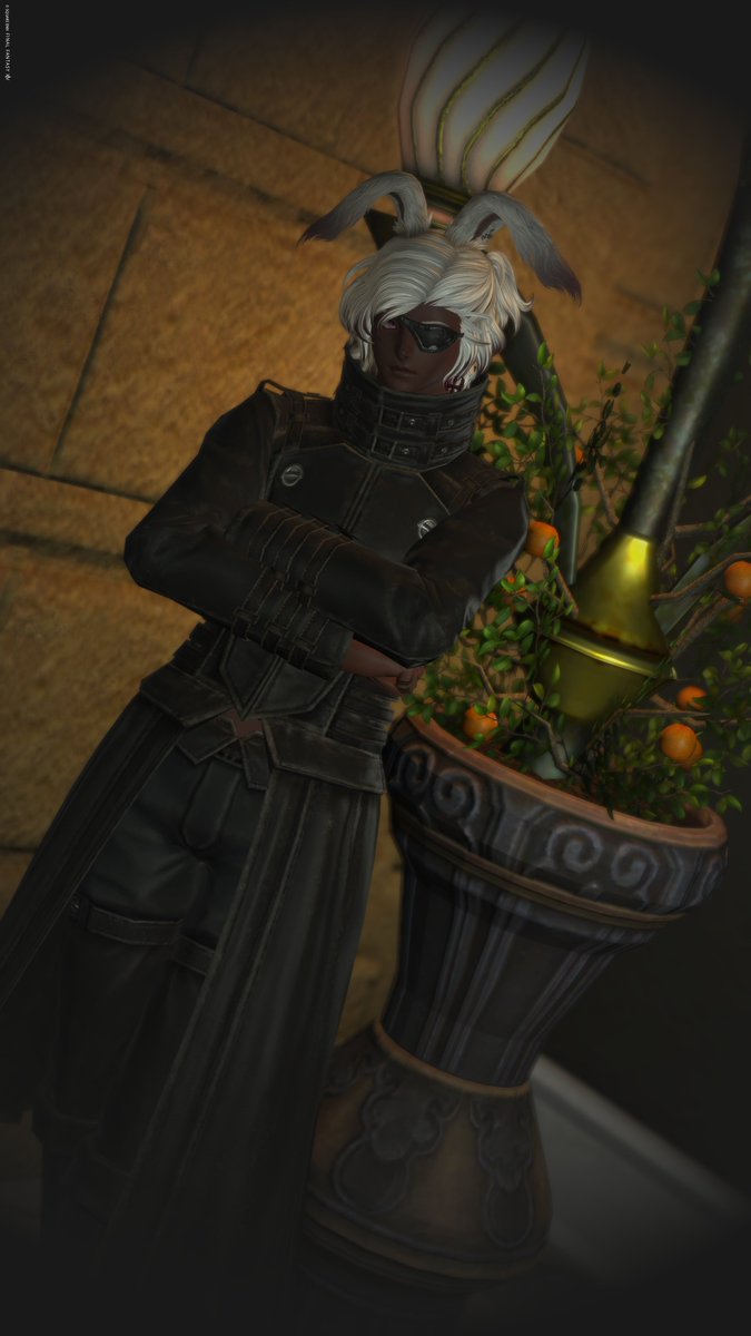 あしゃき✪Bahamut tweet media