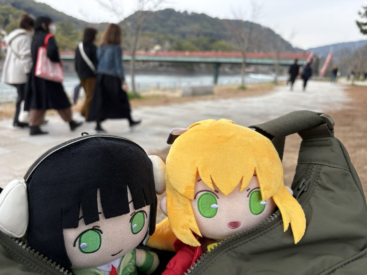 ヨッシー tweet media