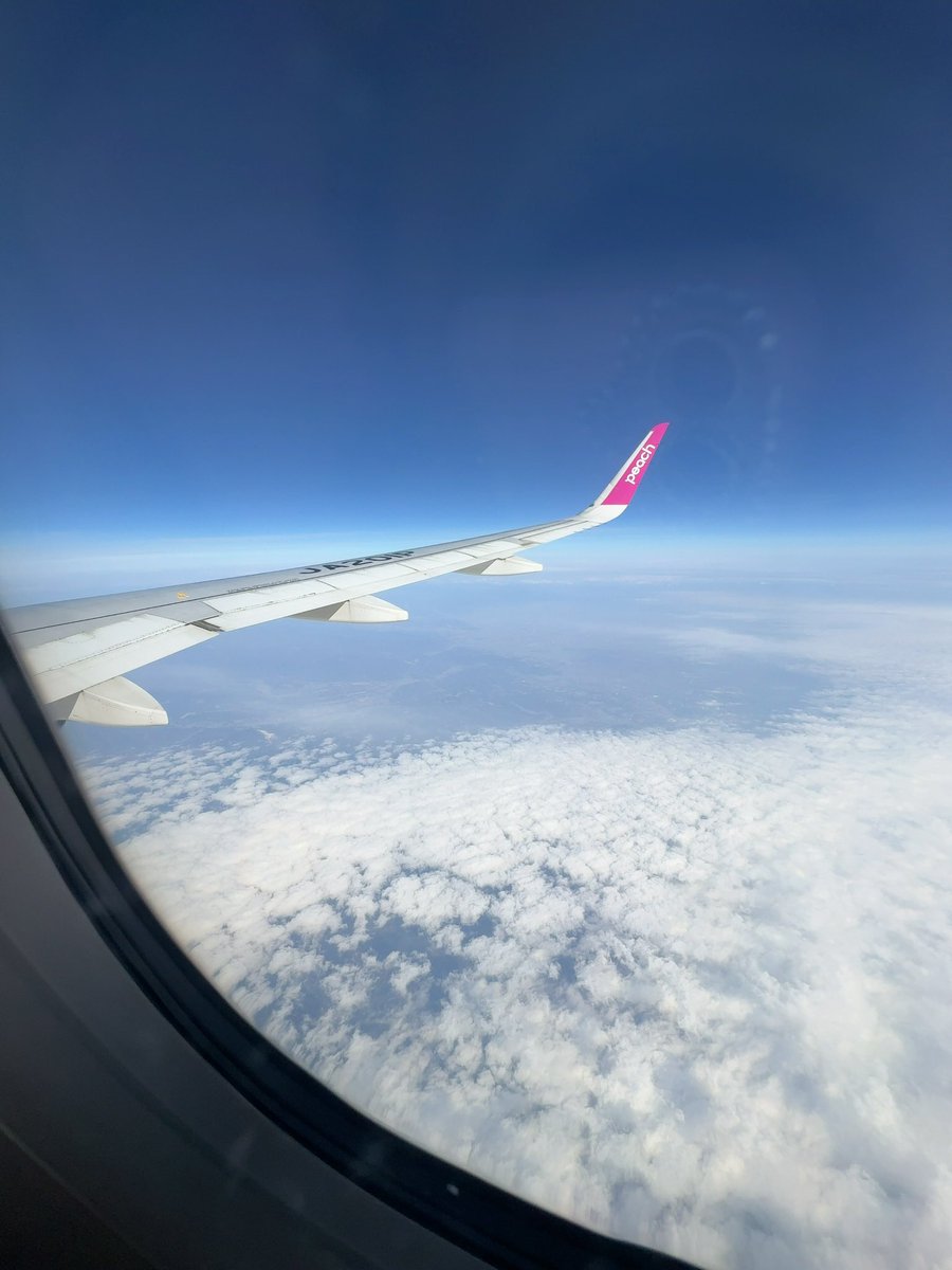 まかろん🎀🤍🐰 tweet media