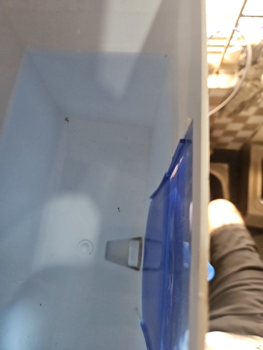 Abhishek tweet media