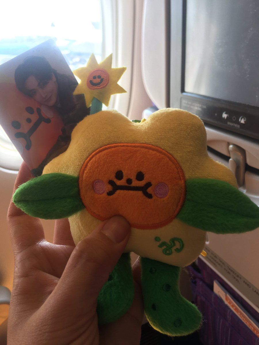 Hana⭐️🇻🇳 tweet media