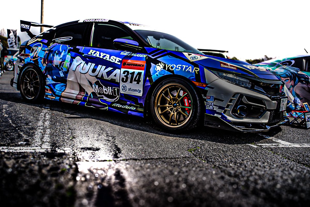 m.photo Collection tweet media