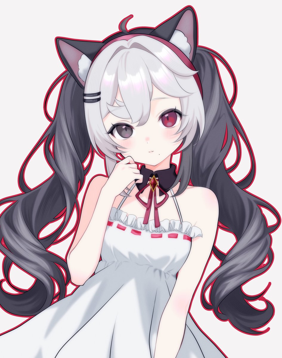 Akko Nyanko 🐈⬛🤍House Cat Vtuber tweet media