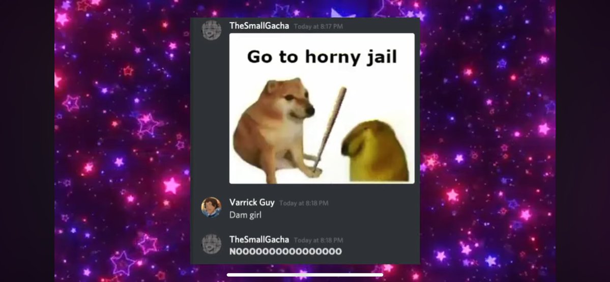 AquaEchidna tweet media