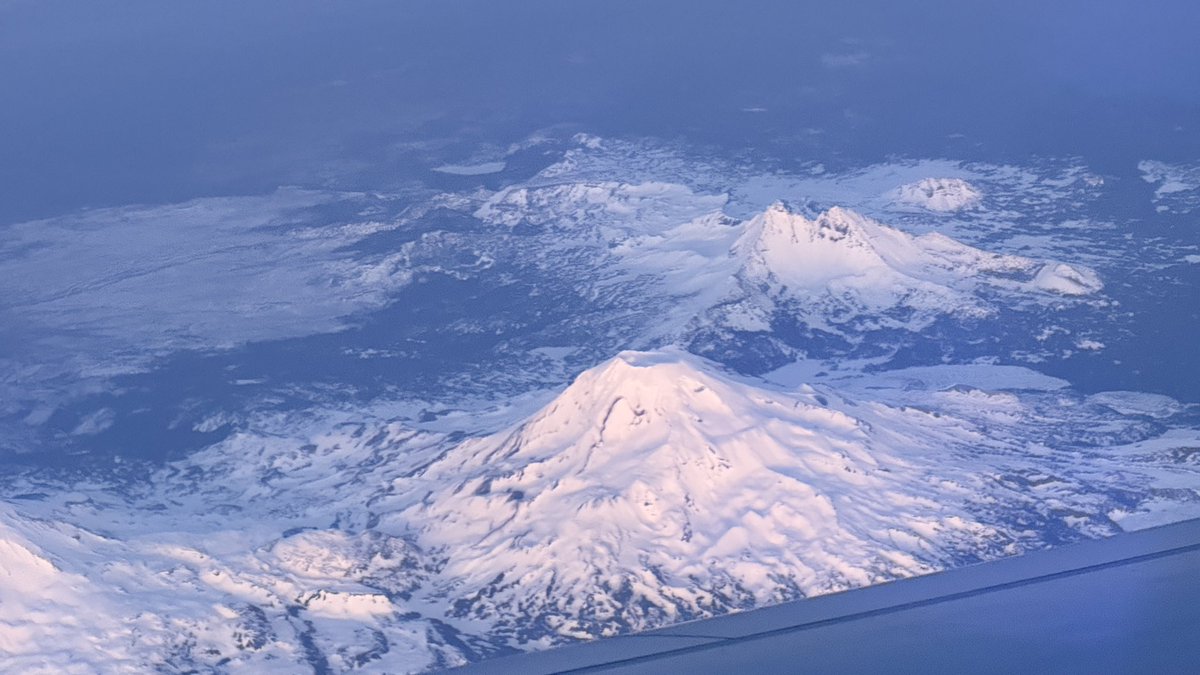 britton winterrose tweet media