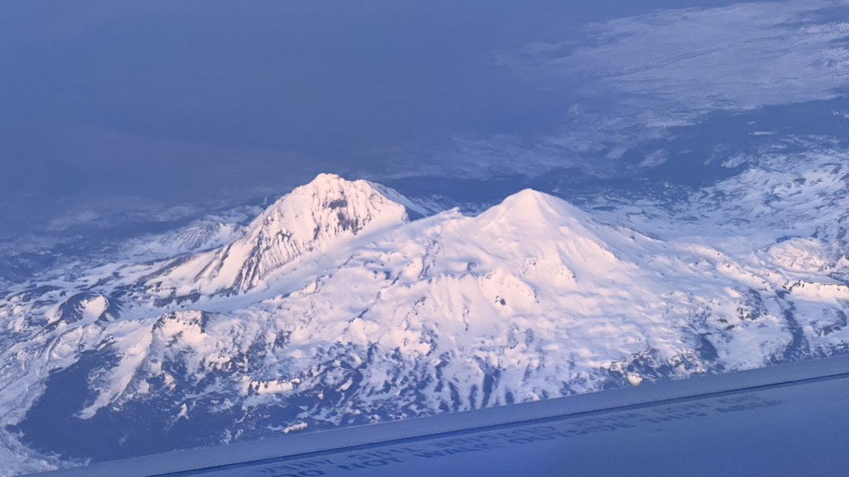 britton winterrose tweet media