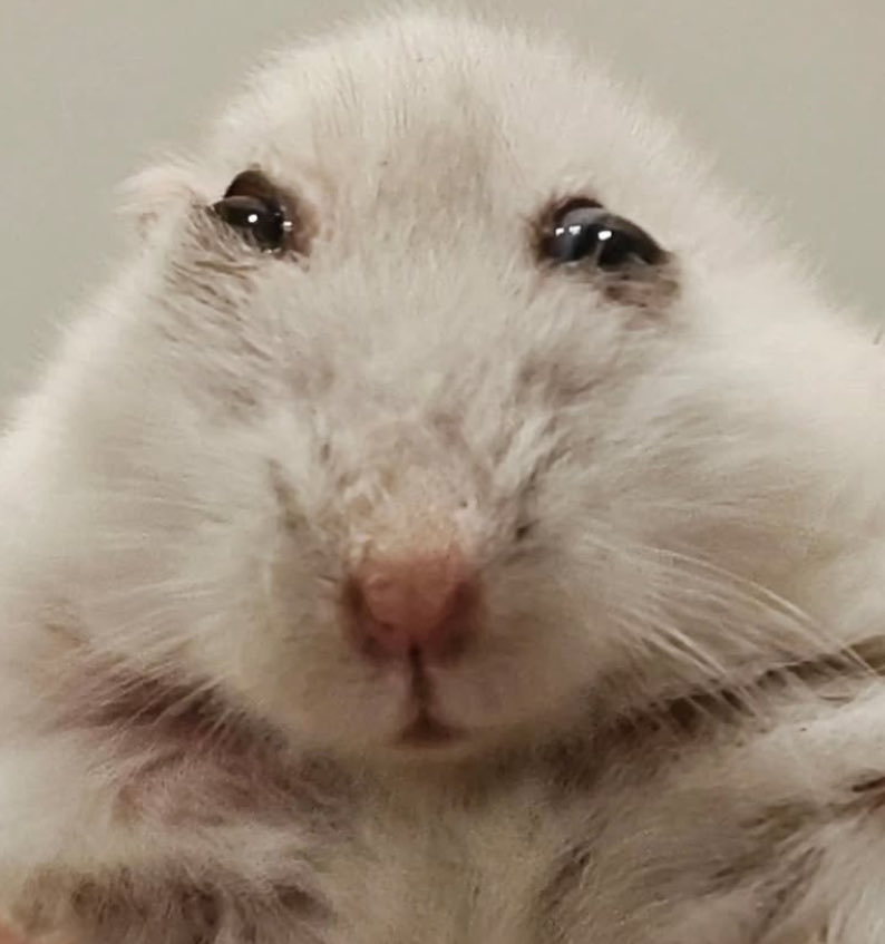 I think im getting sick