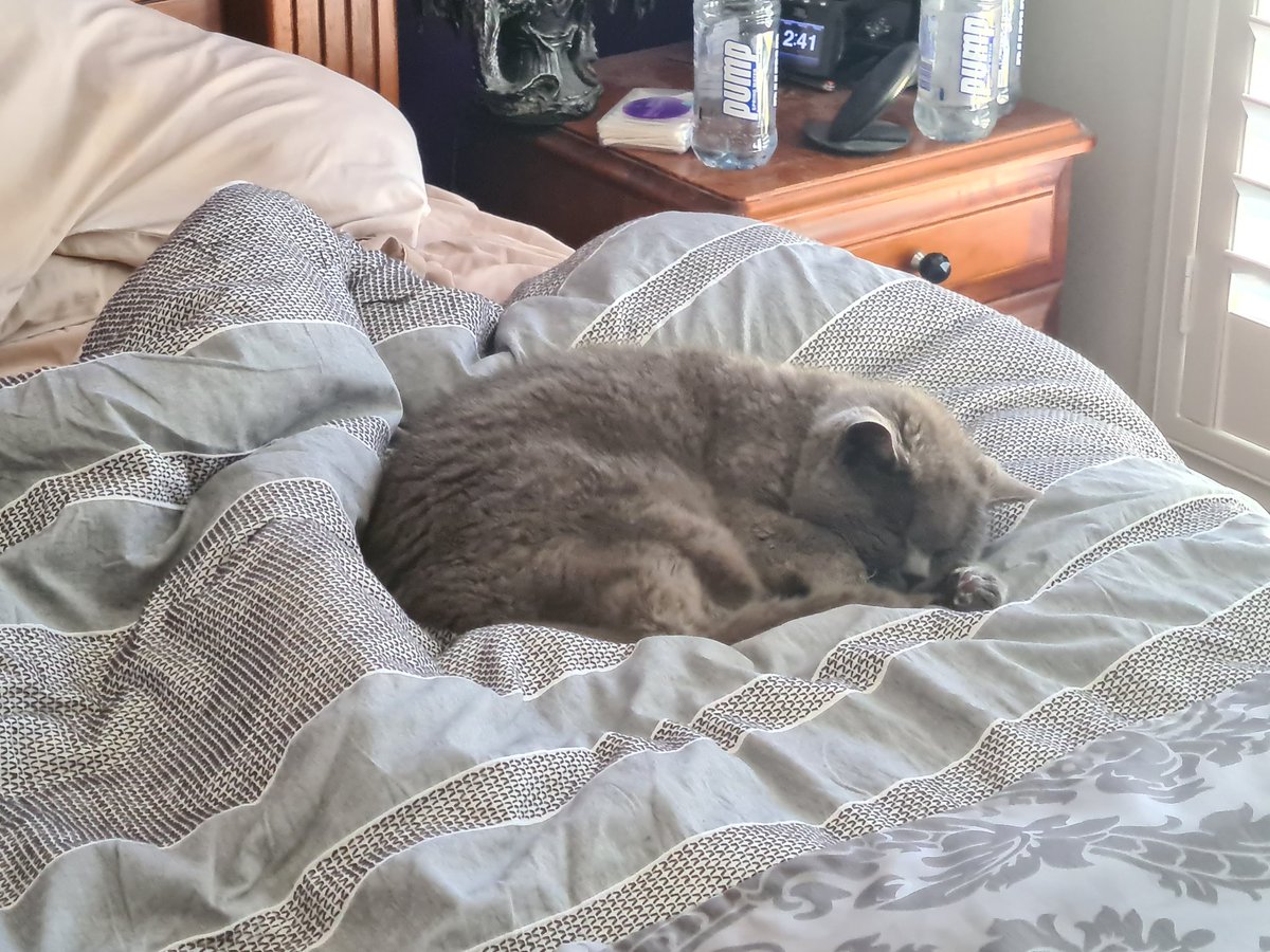 Sam Mitchell tweet media