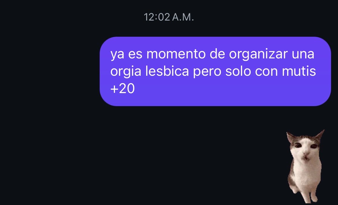 mini˚˚ ༘♡ ⋆｡ ♡ ⋆｡˚ ꕥ tweet media