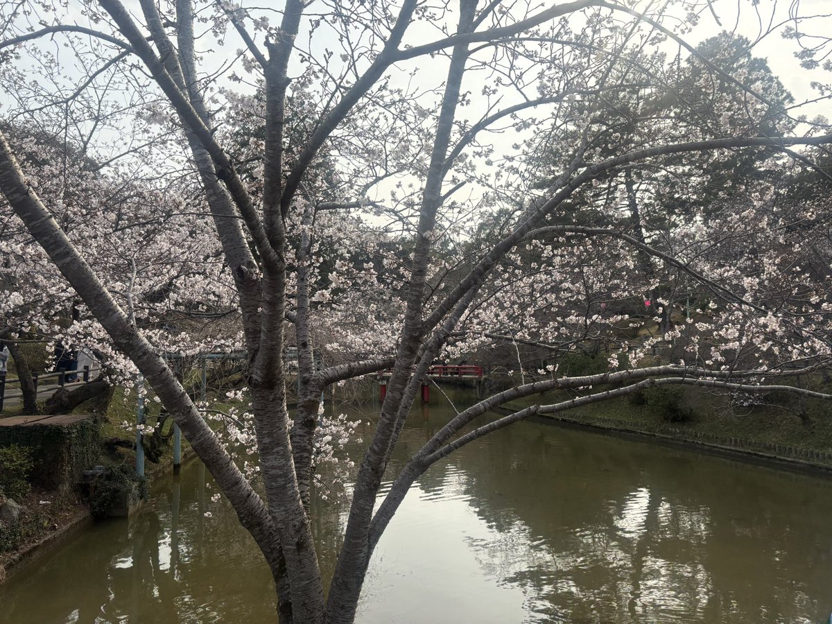 バッテリィズ エース tweet media